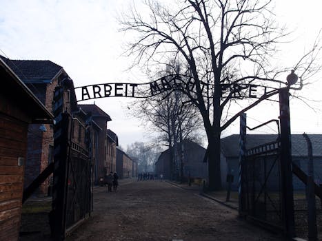 Free stock photo of poland, auschwitz concentration camp