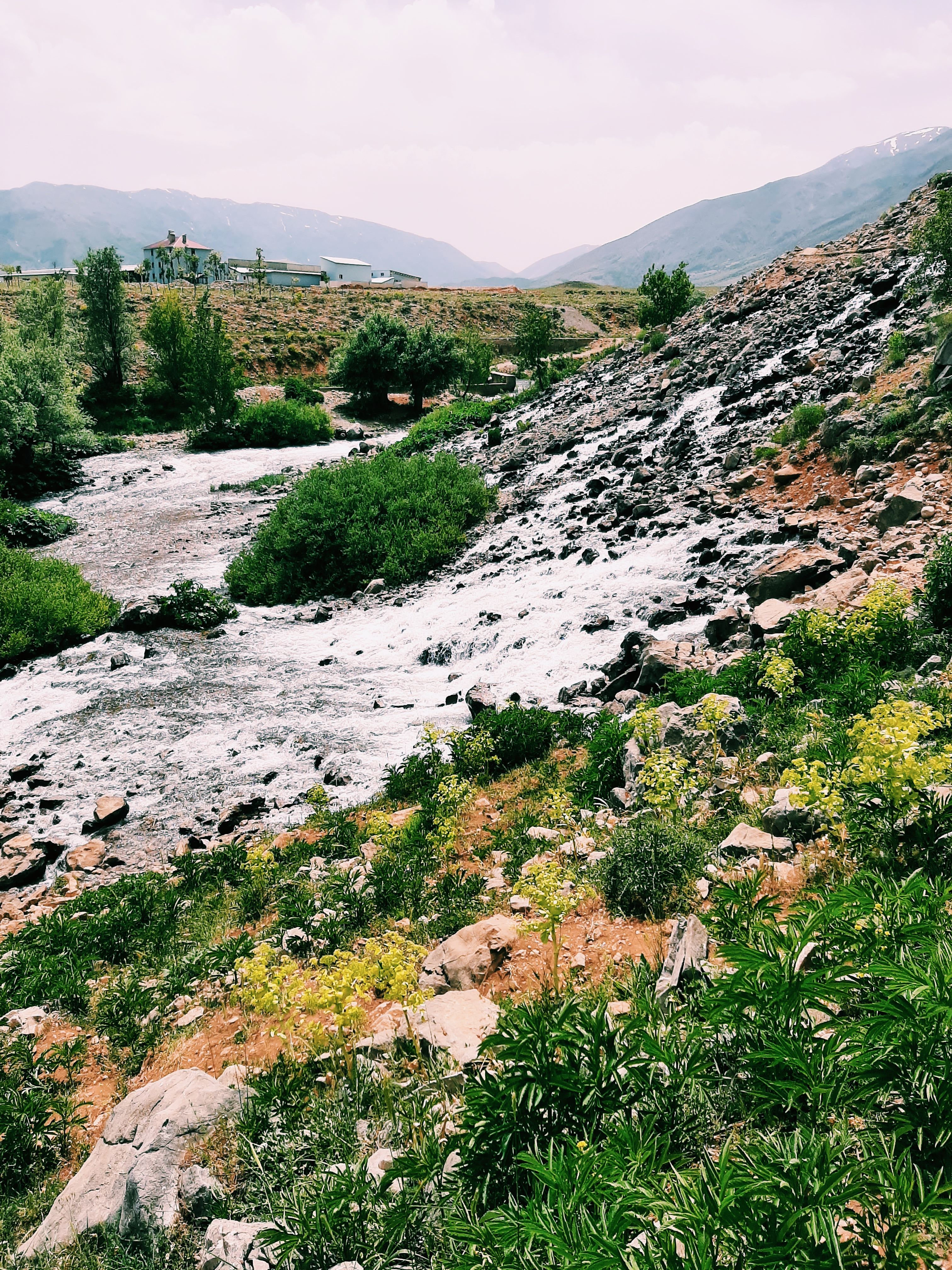 A picturesque river flowing through rocky terrain with lush greenery and distant mountains.