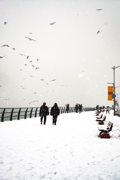 Free A scenic winter view of people walking along a snow-covered pier with seagulls flying above. Stock Photo