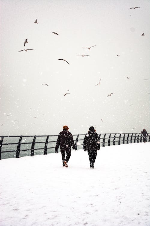 People Walking in Snow
