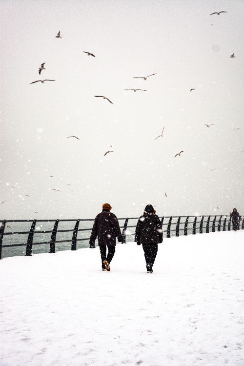 Free Two people walk by the snowy seaside with seagulls overhead in Istanbul. Stock Photo