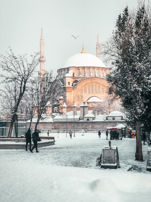 免费 伊斯坦堡, 冬季, 努罗斯马尼耶清真寺 的 免费素材图片 素材图片
