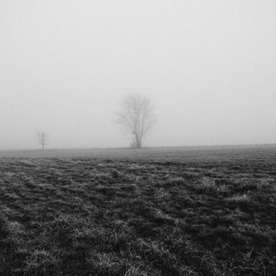 Linen Weather cover art — photo by Mathias Reding on Pexels