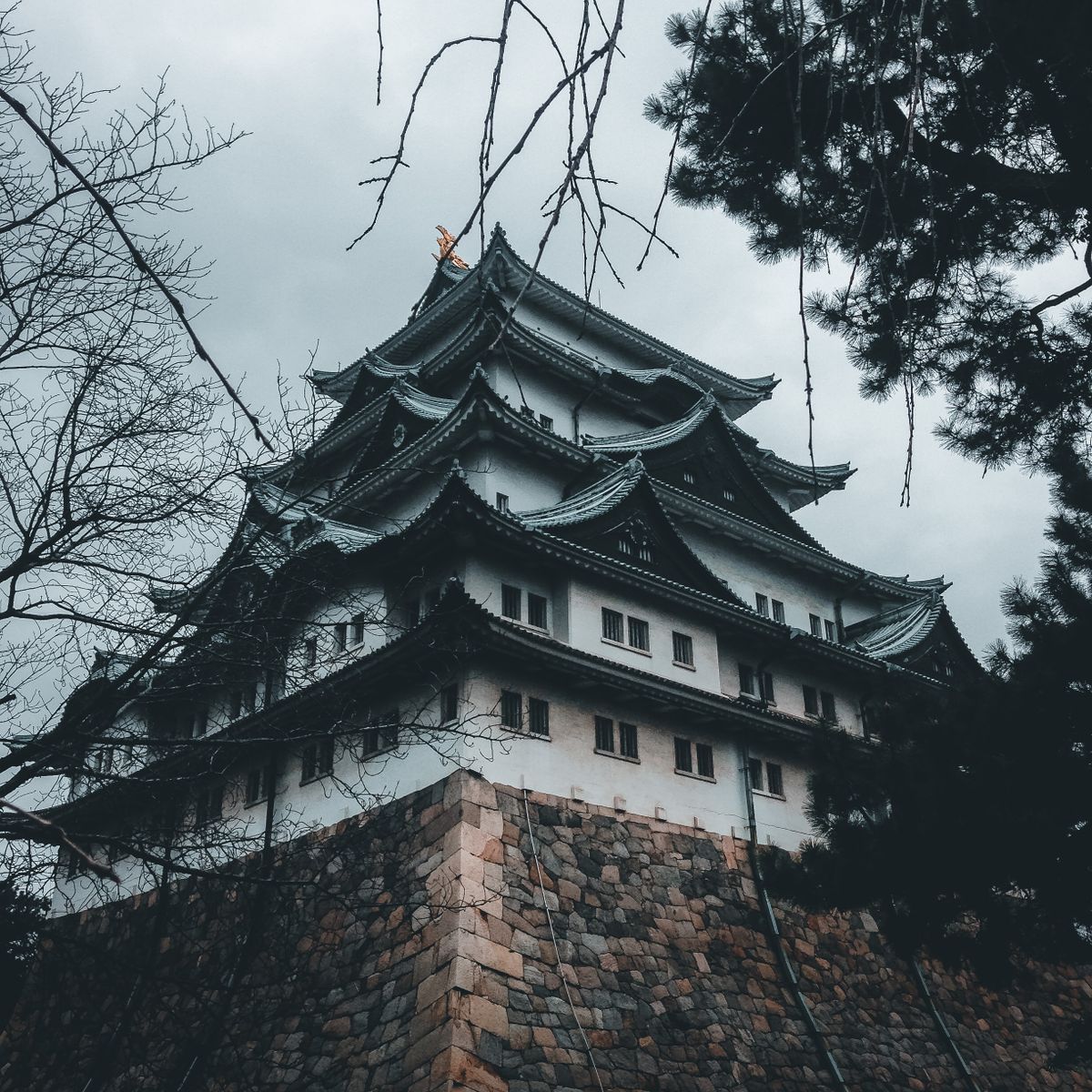 Nagoya Castle grounds and stone walls, Aichi Prefecture — historic castle architecture