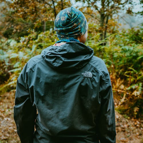 Photos gratuites de debout, forêt, homme