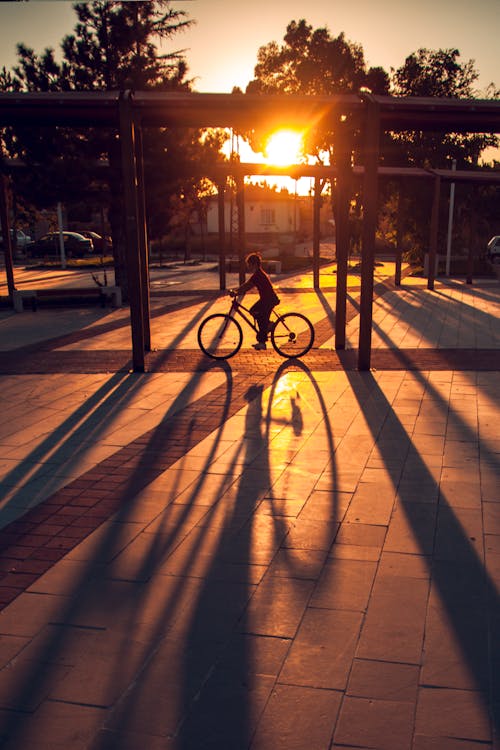 Person Riding a Bicycle at Sunset 