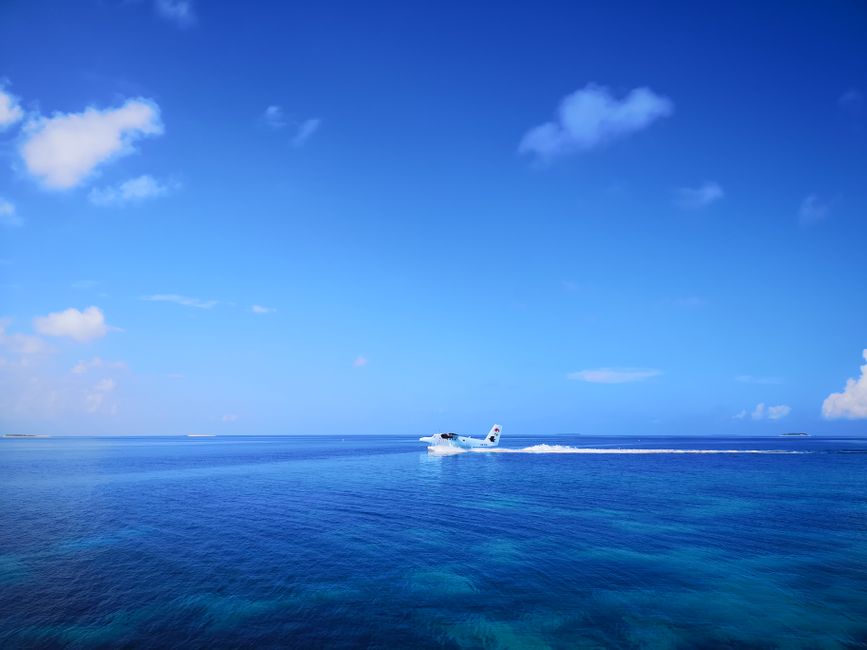 A person consulting with an expert about flight compensation rights for a Maldives flight