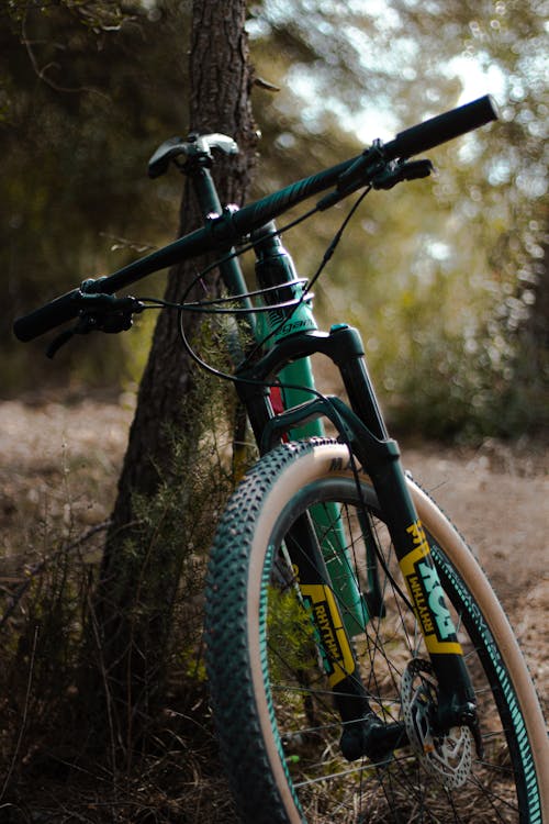 A Bike Leaning to a Tree 