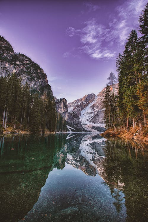 Free Mountain And Trees Reflection Stock Photo