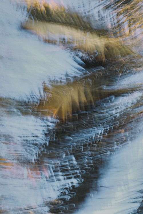 Free stock photo of defocused, dynamic, palm Stock Photo