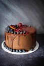 Chocolate Layer Cake with Blueberries