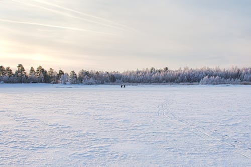 Frozen Lake Under the Blue Sky