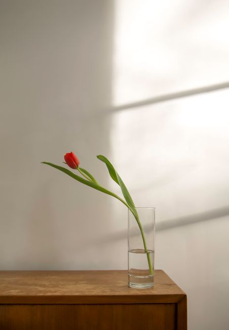 A simple but elegant image of a red tulip in a glass vase on a wooden surface with soft light and shadows.