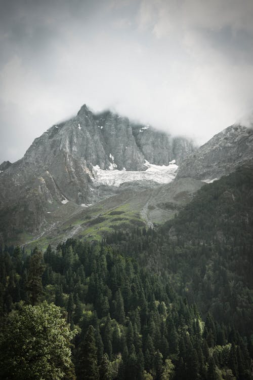 Imagine de stoc gratuită din fotografie cu natură, fotografiere verticală, Munții Stâncoși