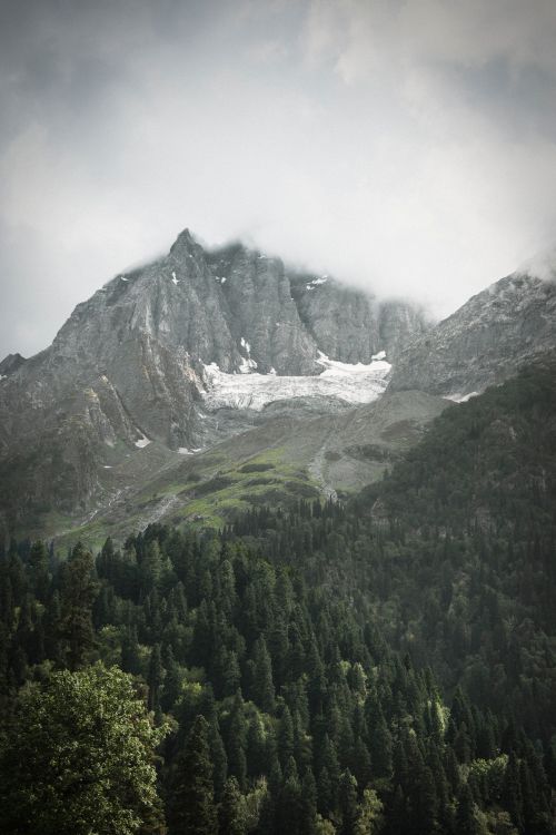 Free Scenic view of towering mountains in JK with lush green forests beneath cloudy skies. Stock Photo