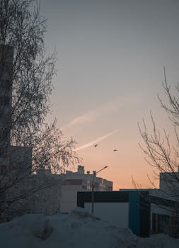 Peaceful cityscape at sunrise with silhouetted trees and pastel skies offering a calm urban scene.