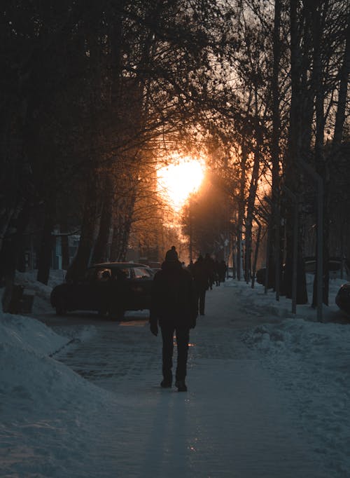 A Car and People on Snow Covered Ground Between Trees