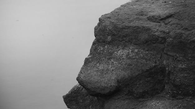 Black and white close-up of a textured rock formation showing natural details.