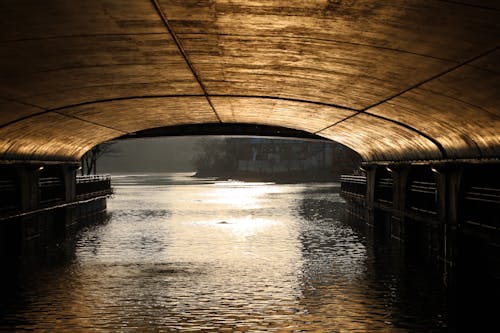 Základová fotografie zdarma na téma odraz vody, pod mostem, příroda