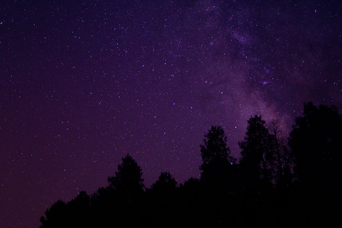 Silhouette of Trees Under Starry Night Sky · Free Stock Photo
