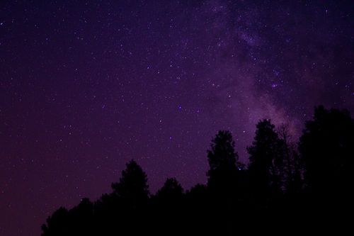 Free A breathtaking view of the Milky Way and starry night sky over silhouette trees in Eagle Nest, New Mexico. Stock Photo