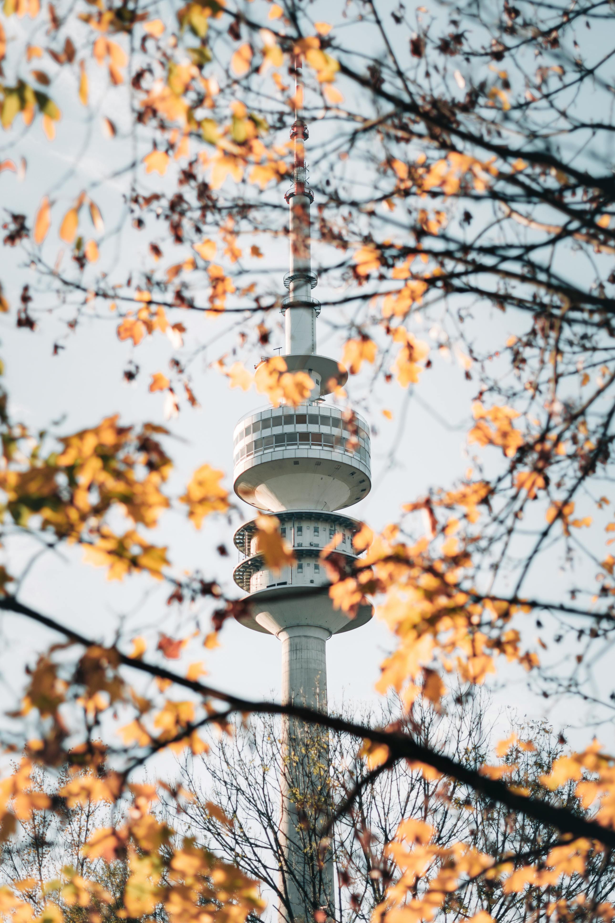 View of Munich's Olympic Tower framed by vibrant autumn leaves, a popular landmark in Germany.