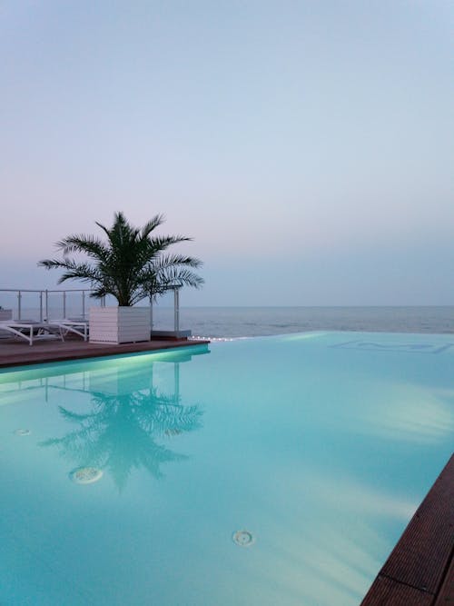 Swimming Pool Near the Palm Tree