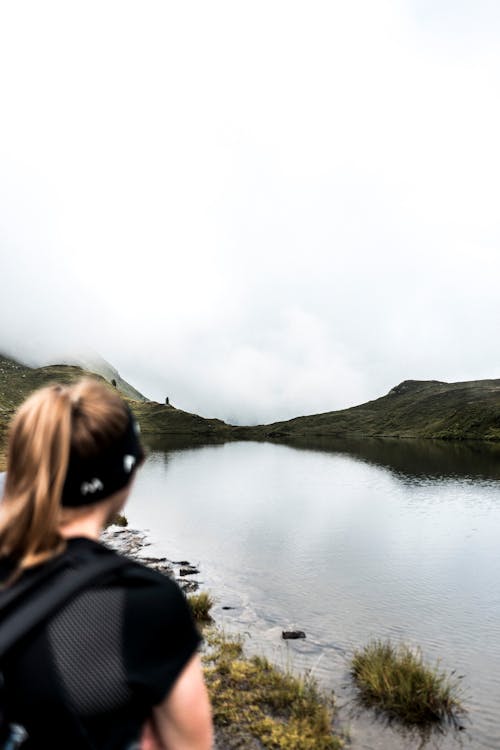 Fotos de stock gratuitas de caminante, de espaldas, excursión