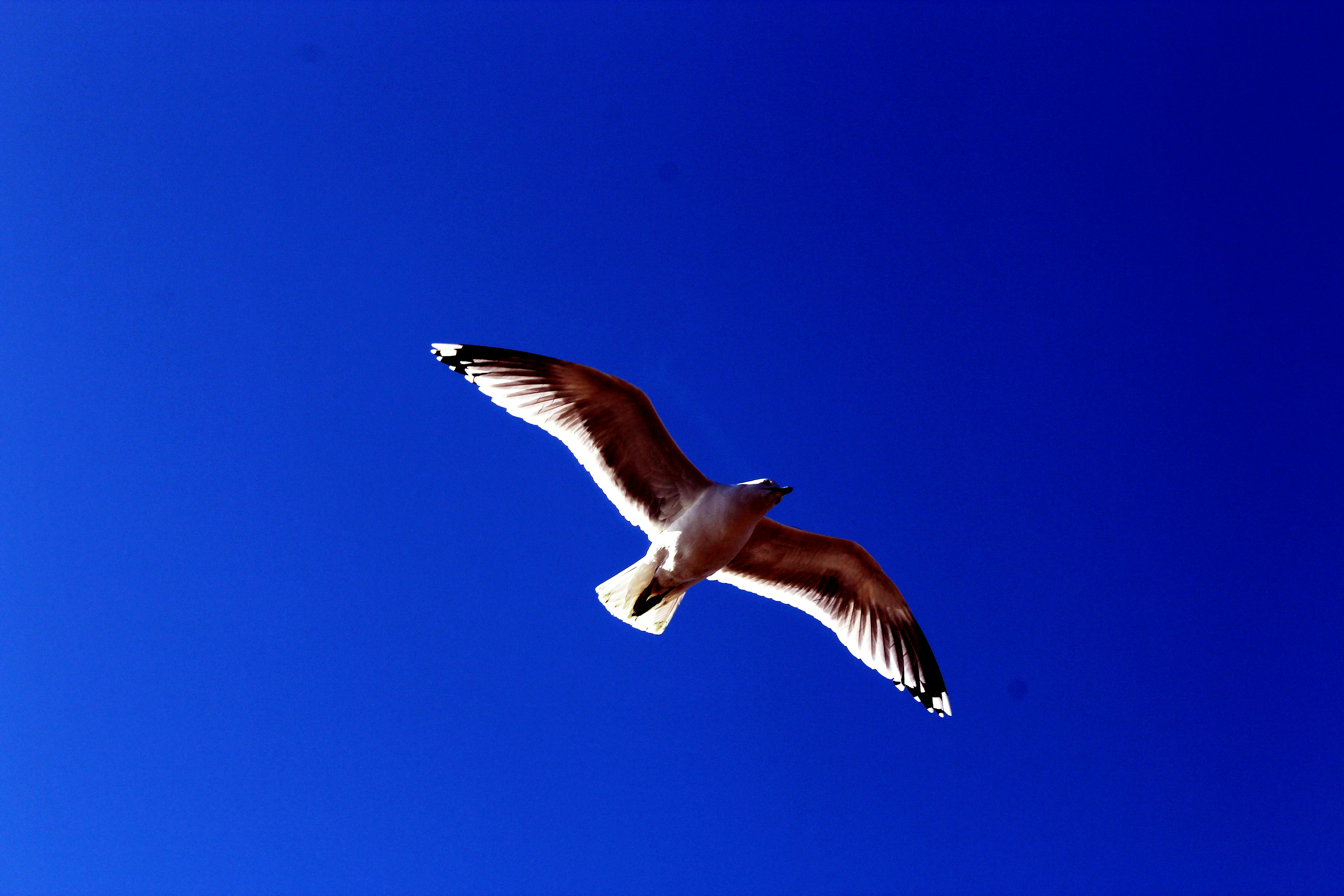 合肥银行如何用肇新智能文档比对看懂跨页复杂表格里的关键数值变化