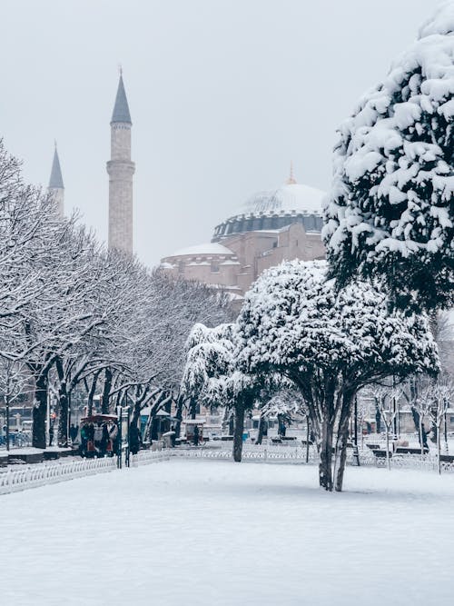 Základová fotografie zdarma na téma architektura, budova, Istanbul