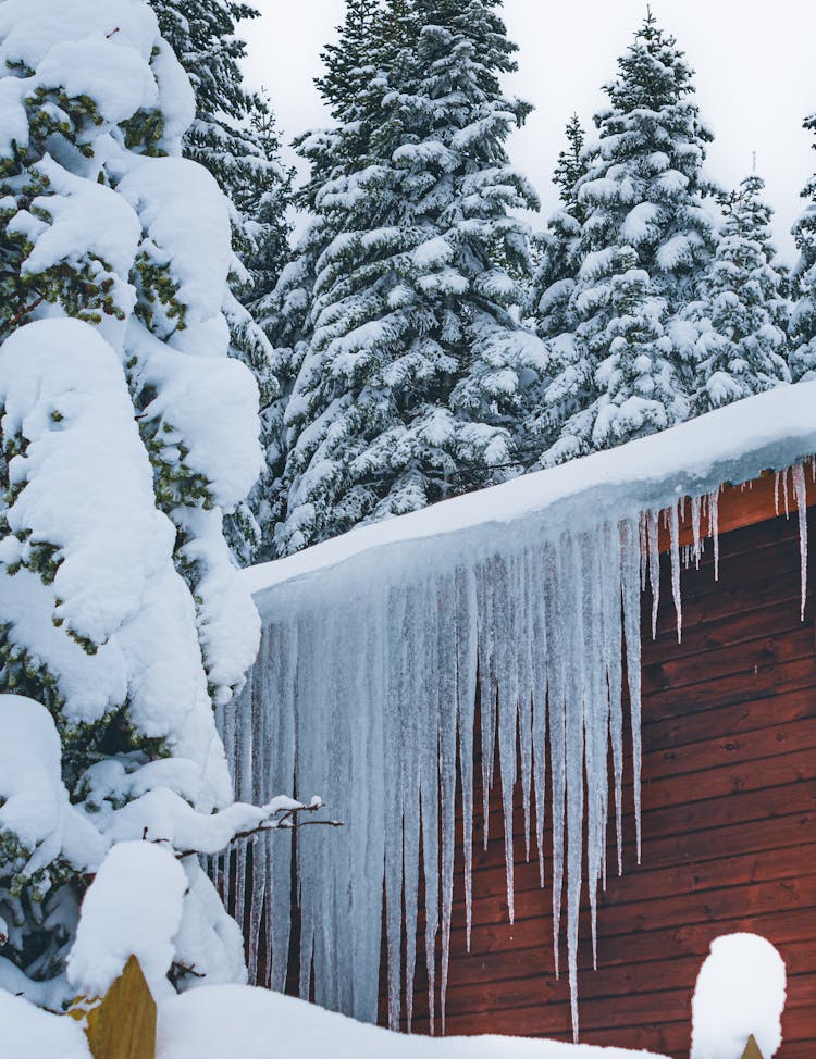 Icicles Formation On The House Roof