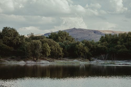 Foto d'estoc gratuïta de a l'aire lliure, aigua, arbres