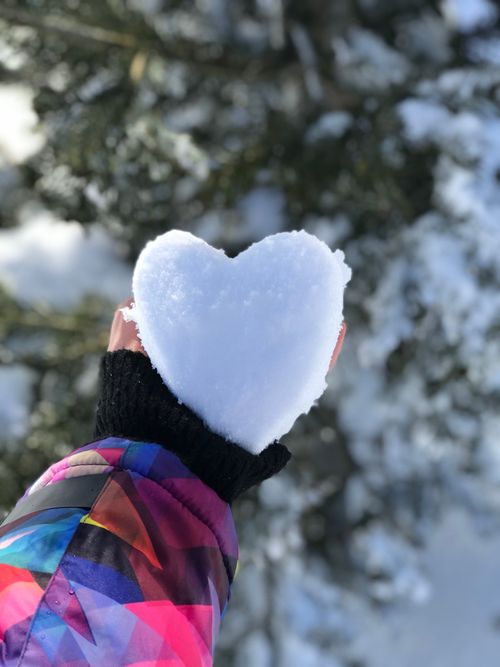 Free A hand holding a heart-shaped snow piece against a blurred forest background in winter. Stock Photo
