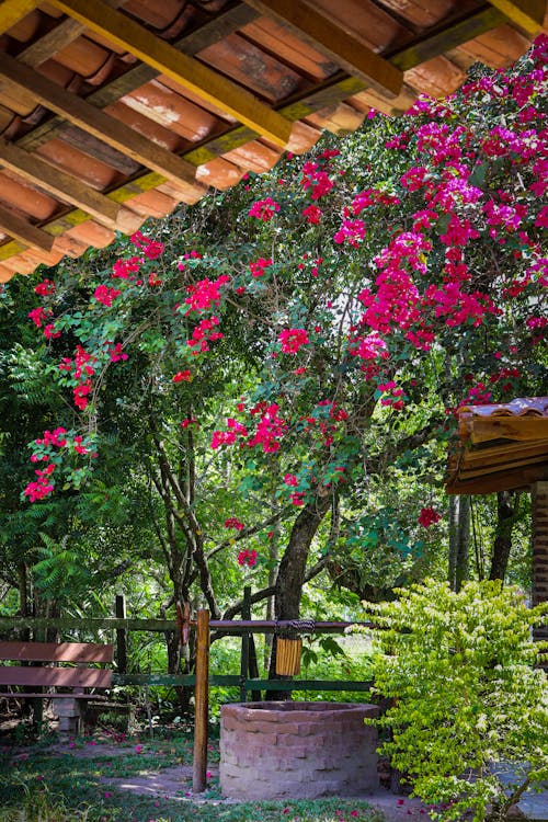 A Well in a Garden