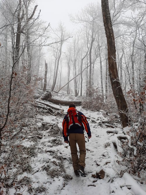 Man Hiking in Forest in Winter