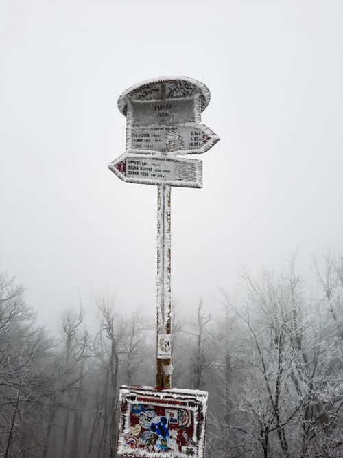 Free A snowy directional sign in a misty, winter forest, creating an eerie atmosphere. Stock Photo