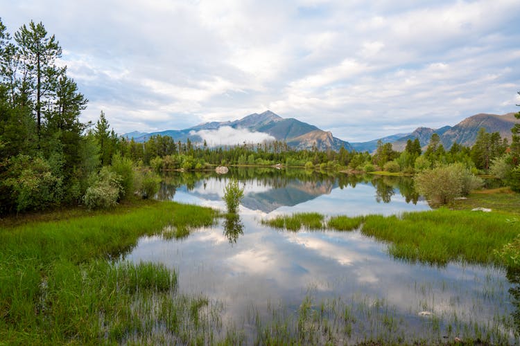 Lake In Forest