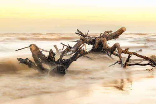 Free Serene view of driftwood on a seashore in Brazil during sunset, with gentle ocean waves. Stock Photo
