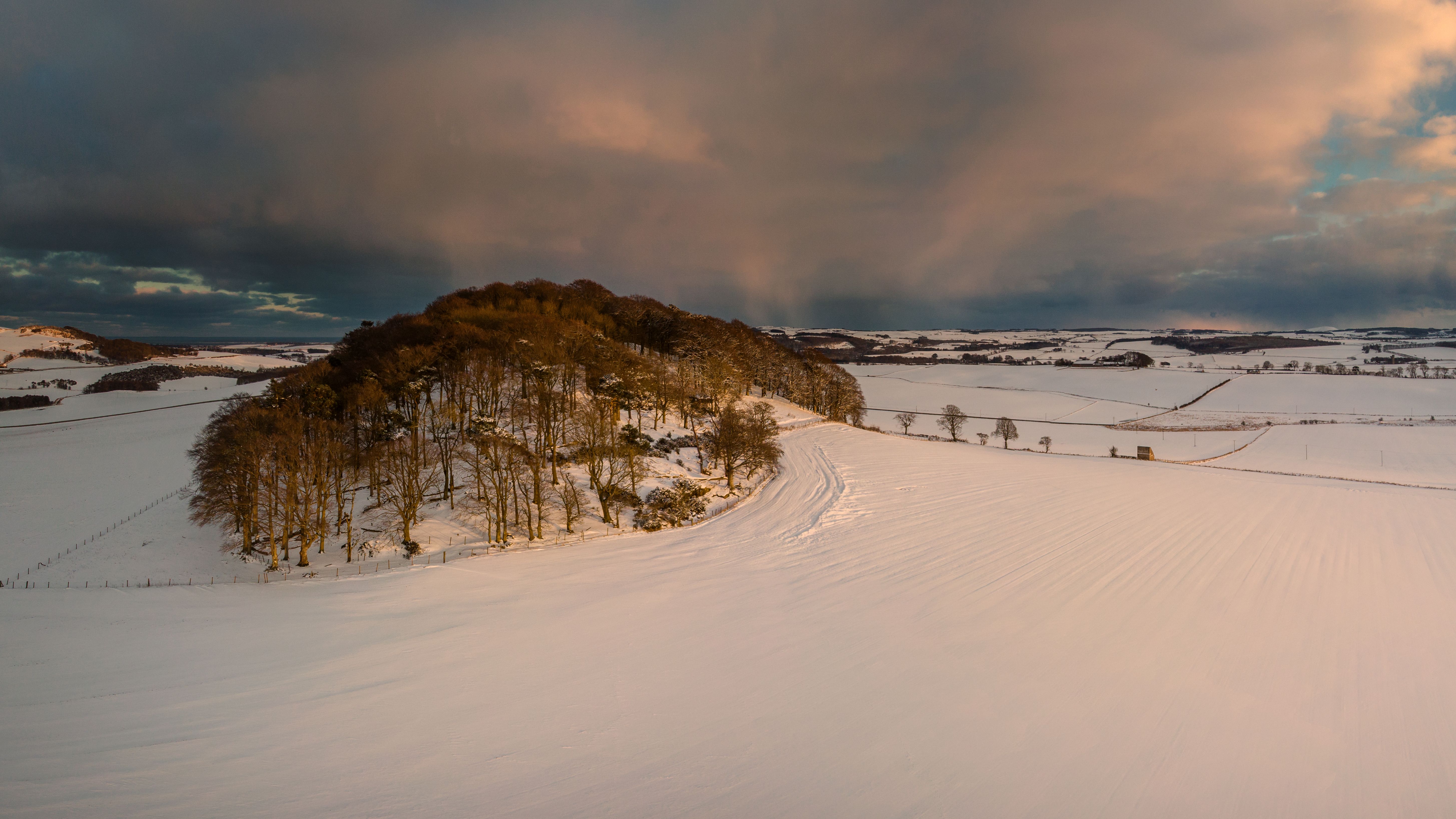 Snow-covered fields and a stand of bare trees under a passing snow shower