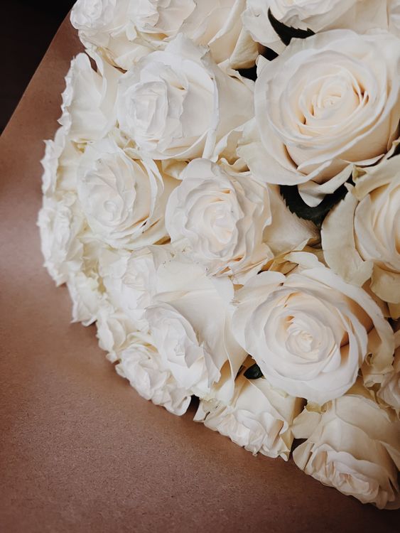 Bouquet of White Roses · Free Stock Photo