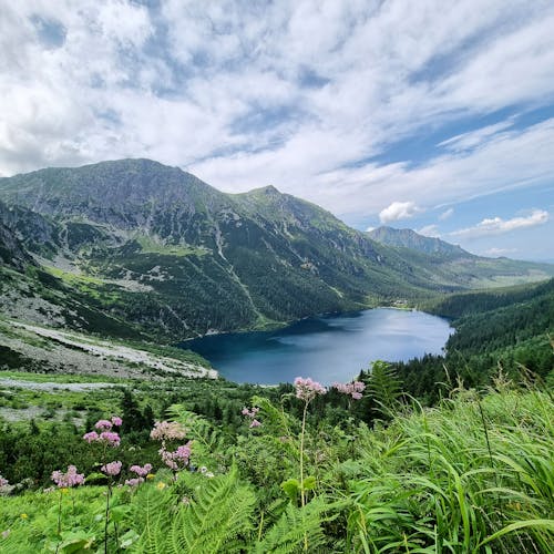 бесплатная Бесплатное стоковое фото с величественный, горы, живописный Стоковое фото