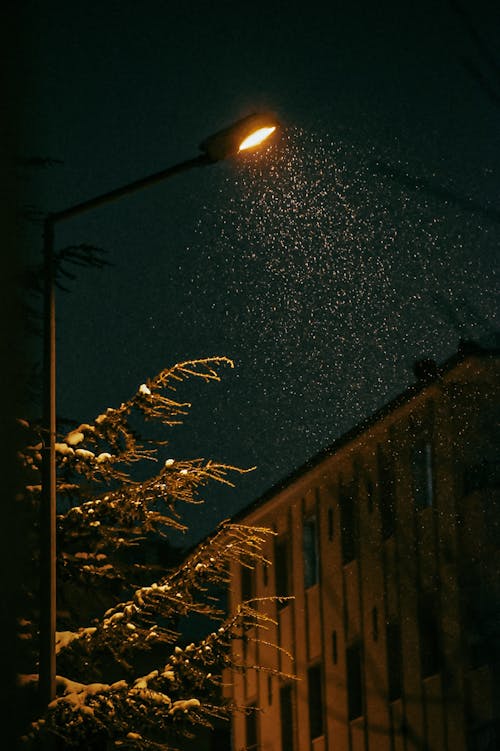 Streetlamp Illuminating Snowflakes at Night