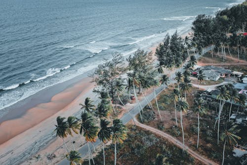 Drone Shot of a Tropical Coast with Palm Trees 