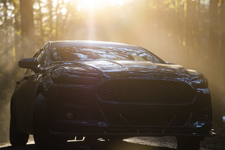 Modern Black Car In Forest