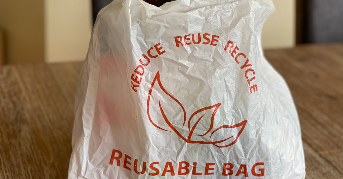 Reusable Shopping Bags In A Car