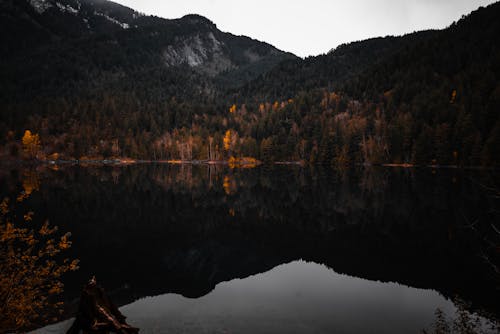 Fotobanka s bezplatnými fotkami na tému hory, jazero, jeseň