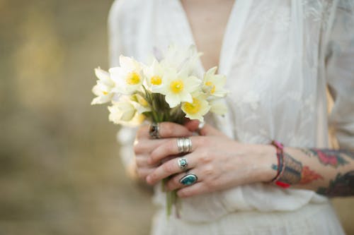 Free Person in White Dress Holding White Flowers Stock Photo