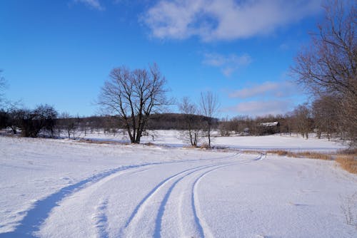 Darmowe zdjęcie z galerii z krajobraz, pora roku, śnieg