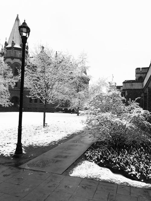 Free stock photo of black and white, snow, university campus Stock Photo