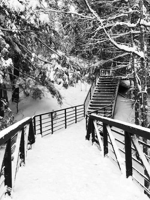 Stairs in Snow on Footpath in Forest